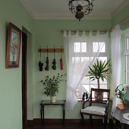 Ocean View B&B คิลลาร์นีย์ ภายนอก รูปภาพ